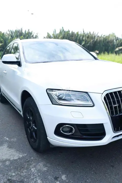 Audi Q5 2016 photo 3