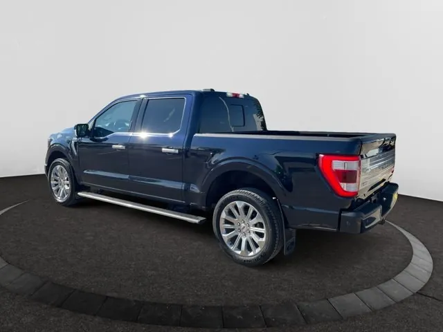 Ford F-150 2021 photo 3