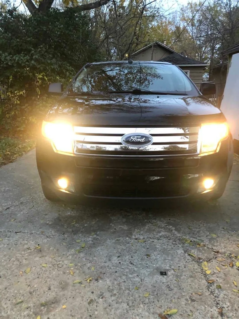 Ford Edge 2010 photo 2