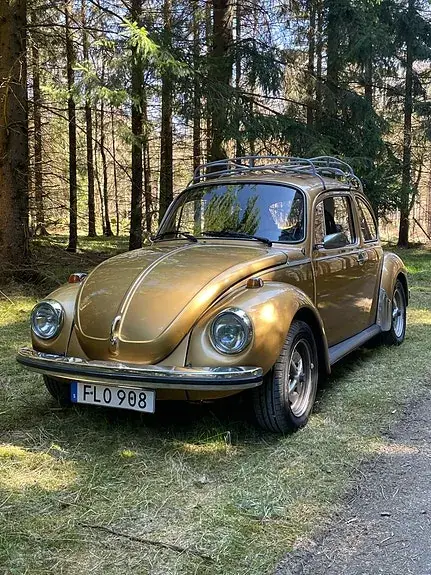 Volkswagen 1303