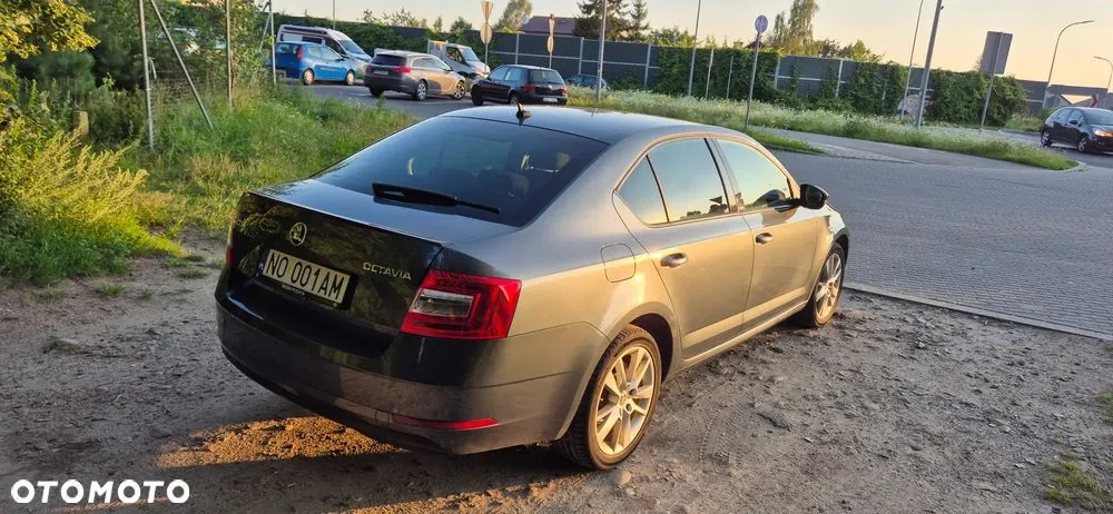 Skoda Octavia 2019 photo 5