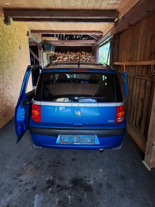 Peugeot 1007 2005 photo 2