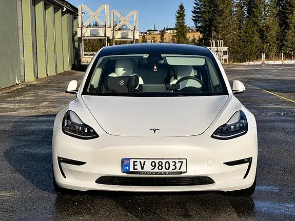 Tesla Model 3 2019 photo 3