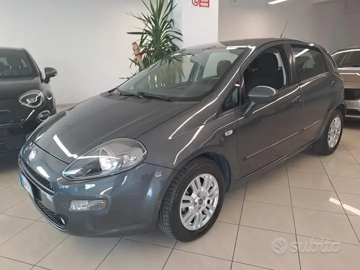 Fiat Punto