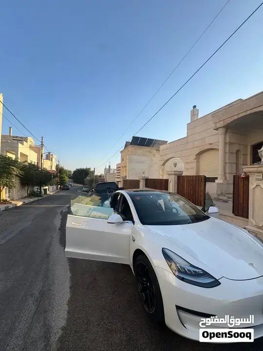 Tesla Model 3 2020 photo 3