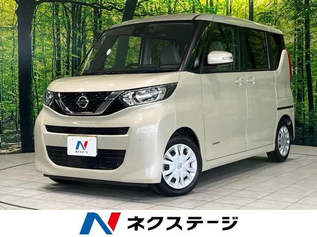 Nissan Luks X