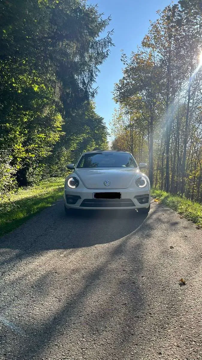 Volkswagen Beetle 2017 photo 2