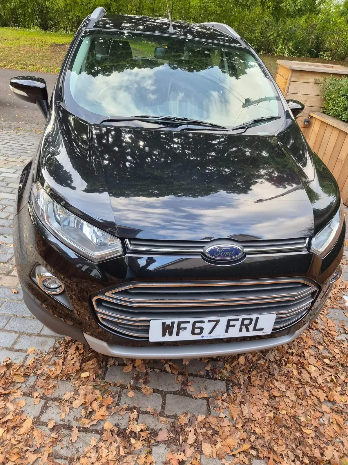 Ford Ecosport 2017 photo 2