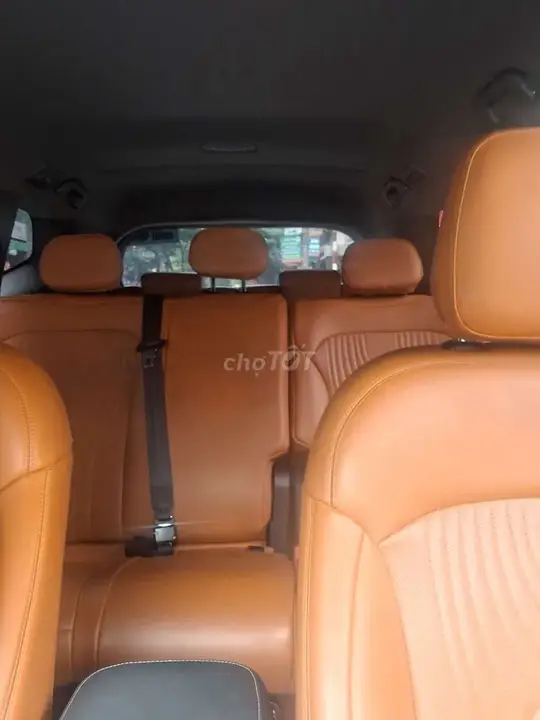Vinfast Limo Green 2025 photo 2