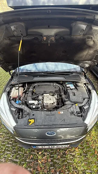 Ford Focus 2015 photo 4