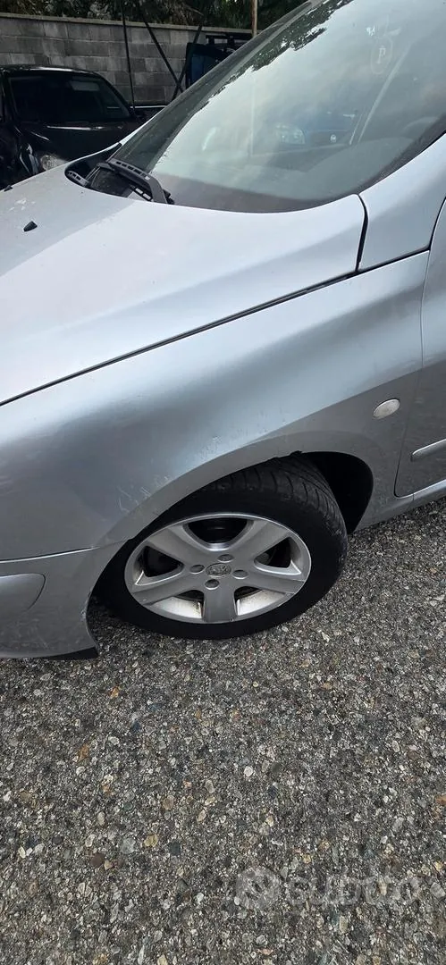Peugeot 307 2005 photo 3