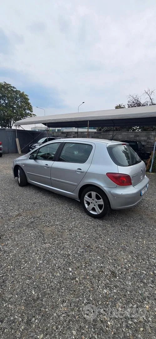 Peugeot 307 2005 photo 4