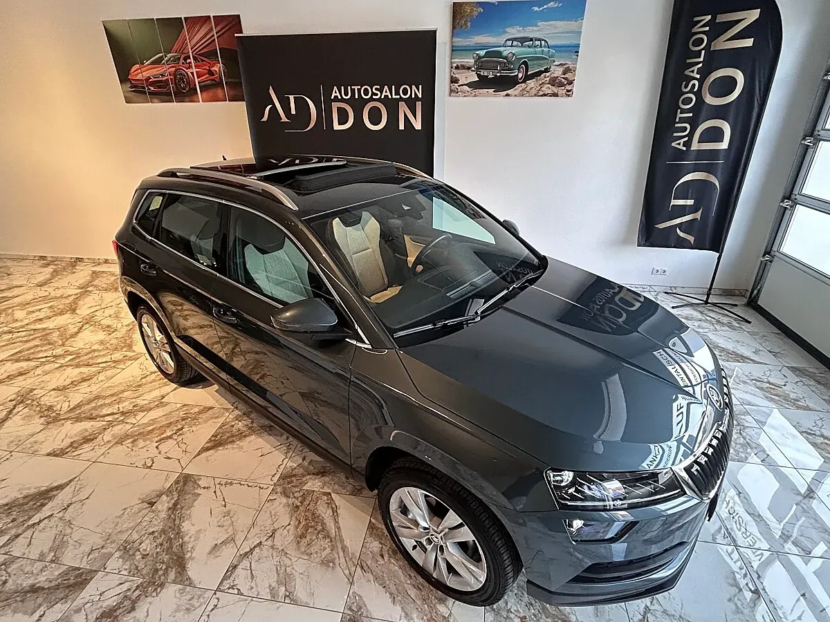 Skoda Karoq 2019 photo 3