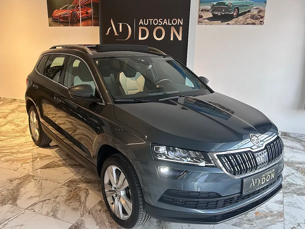 Skoda Karoq 2019 photo 2