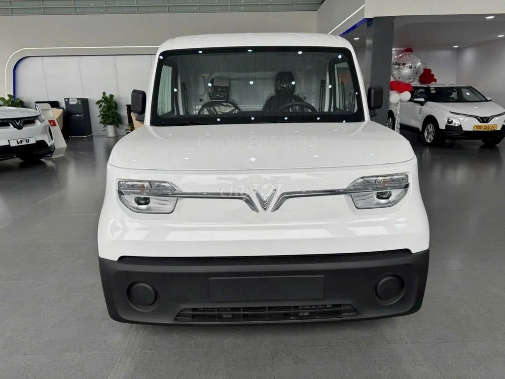Vinfast Ec Van