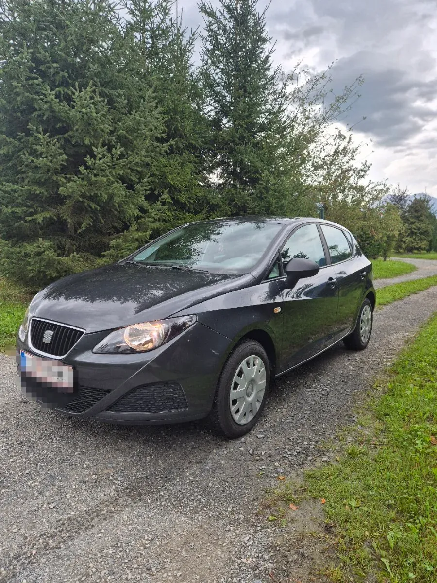 Seat Ibiza 2009 photo 3