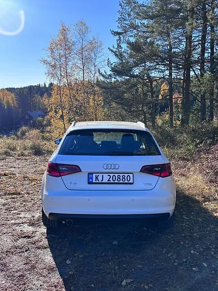 Audi A3 2016 photo 3