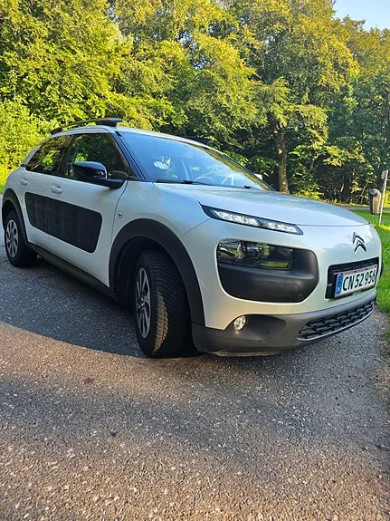 Citroen C4 Cactus 2016 photo 4