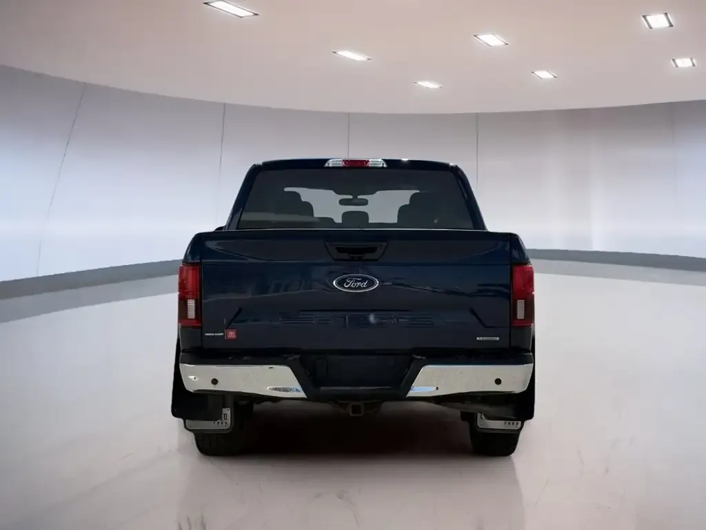 Ford F-150 2020 photo 5