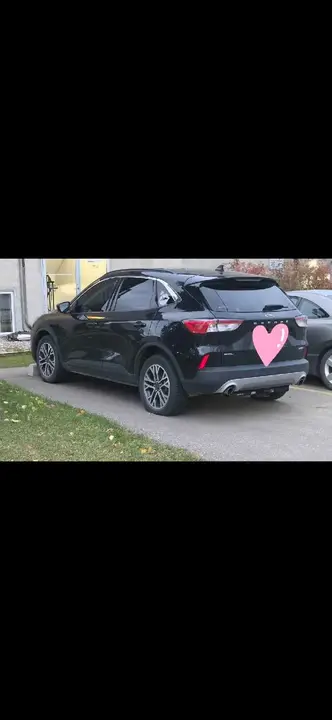 Ford Escape 2020 photo 3
