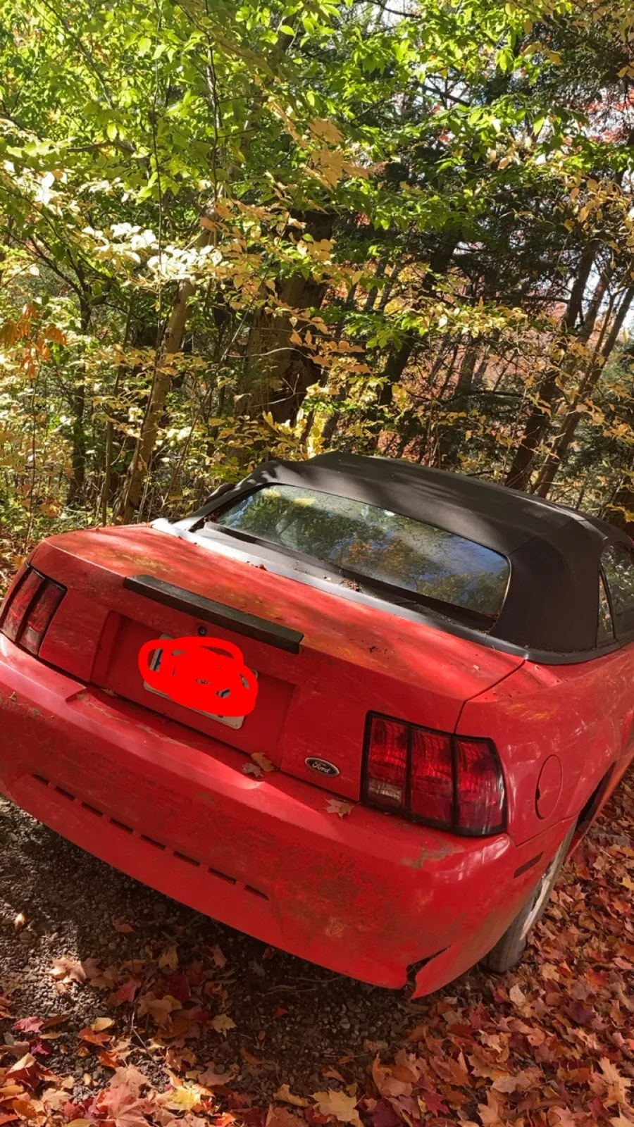 Ford Mustang 2000 photo 3