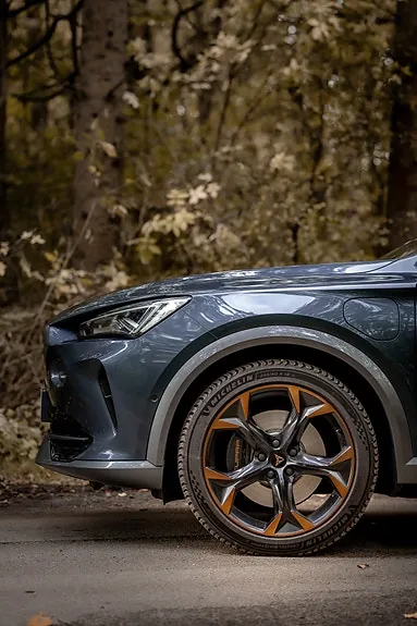 Cupra Formentor 2022 photo 3