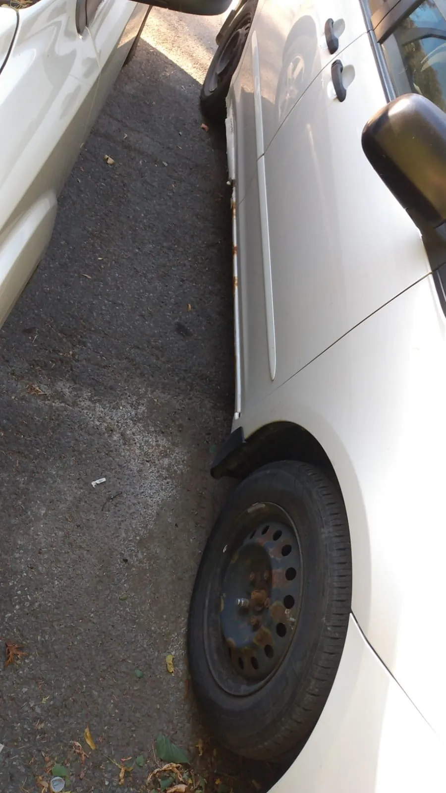 Toyota Sienna 2007 photo 2