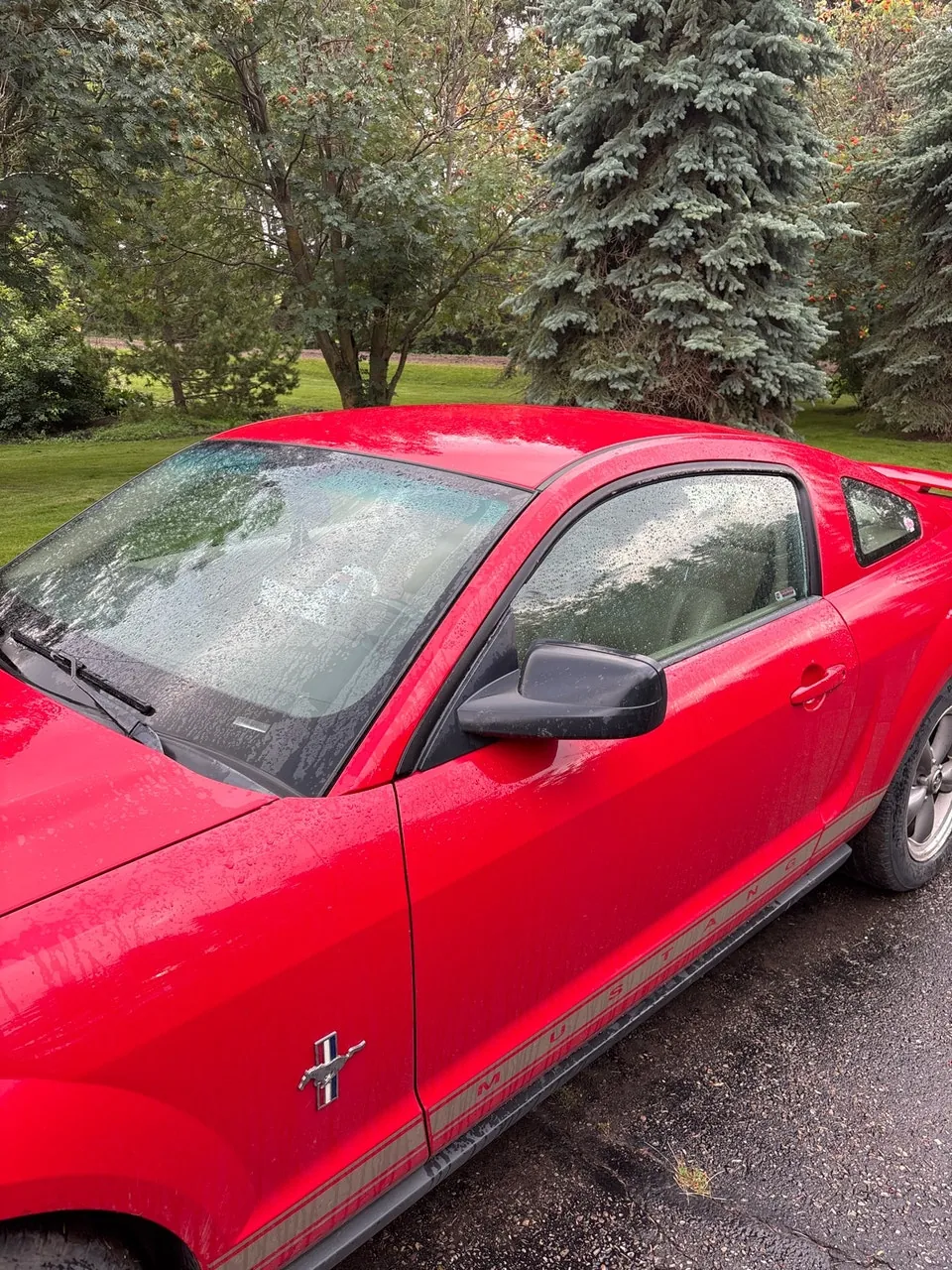 Ford Mustang 2006 photo 2