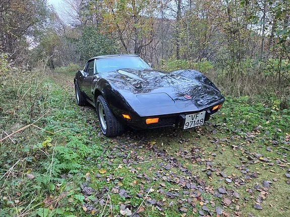 Chevrolet Corvette 1976 photo 3