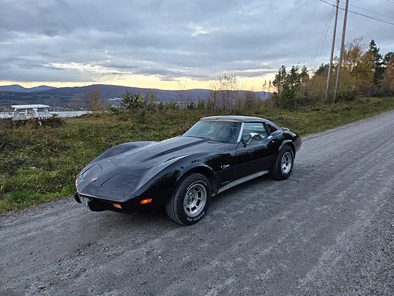 Chevrolet Corvette 1976 photo 2