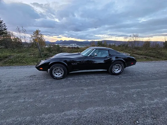 Chevrolet Corvette 1976 photo 4