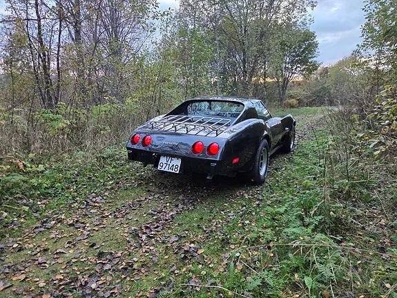 Chevrolet Corvette 1976 photo 5