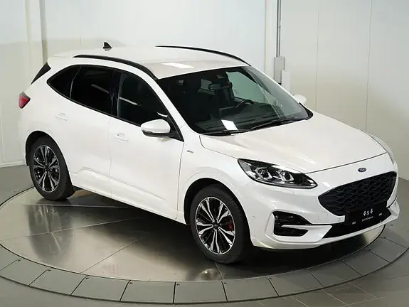 Ford Kuga 2021 photo 4