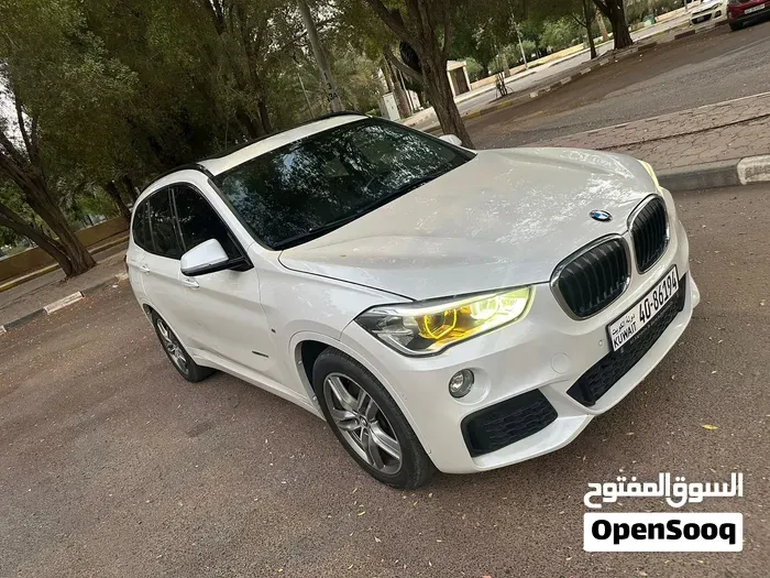 BMW X1 2017 photo 2