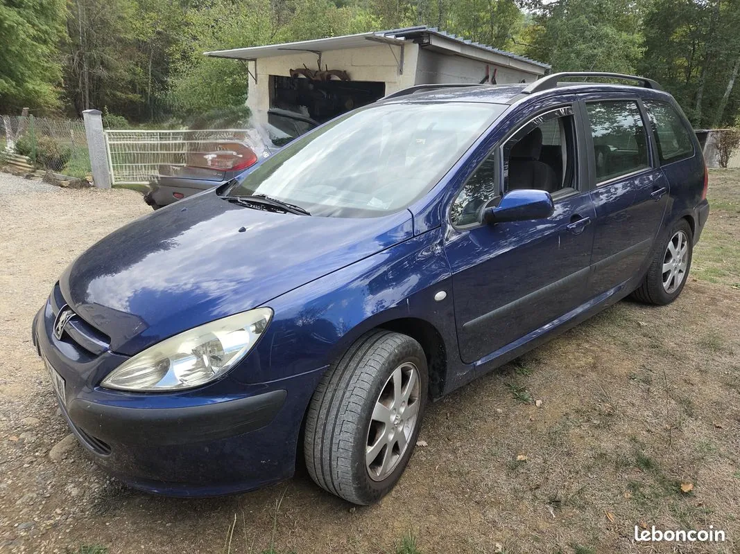 Peugeot 307 2003 photo 2