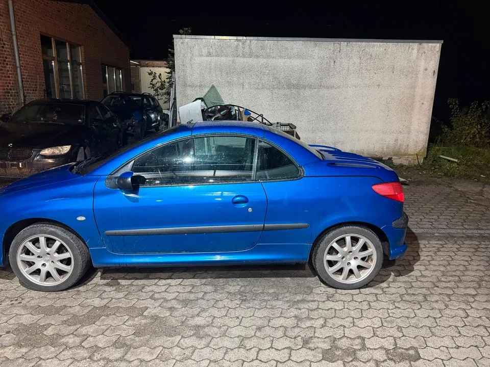 Peugeot 206 Cc