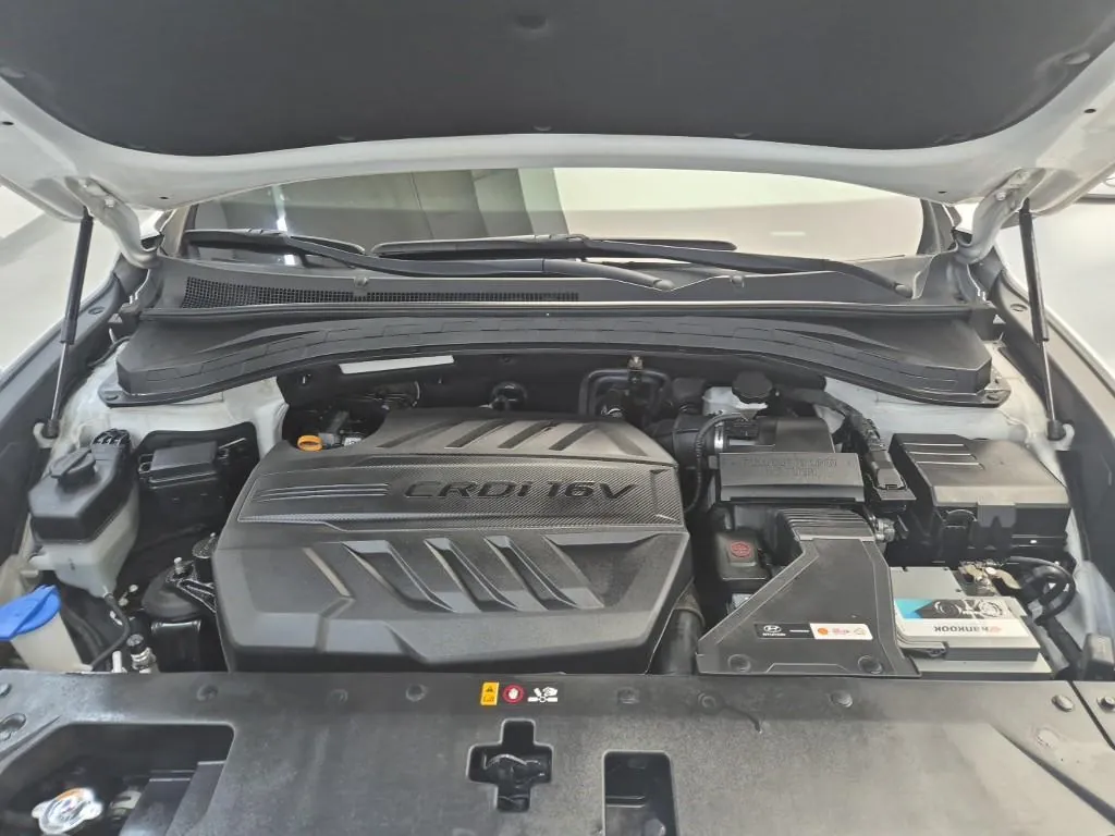 Hyundai Santa Fe 2019 photo 5
