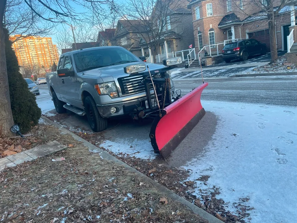Ford F-150 2010 photo 3