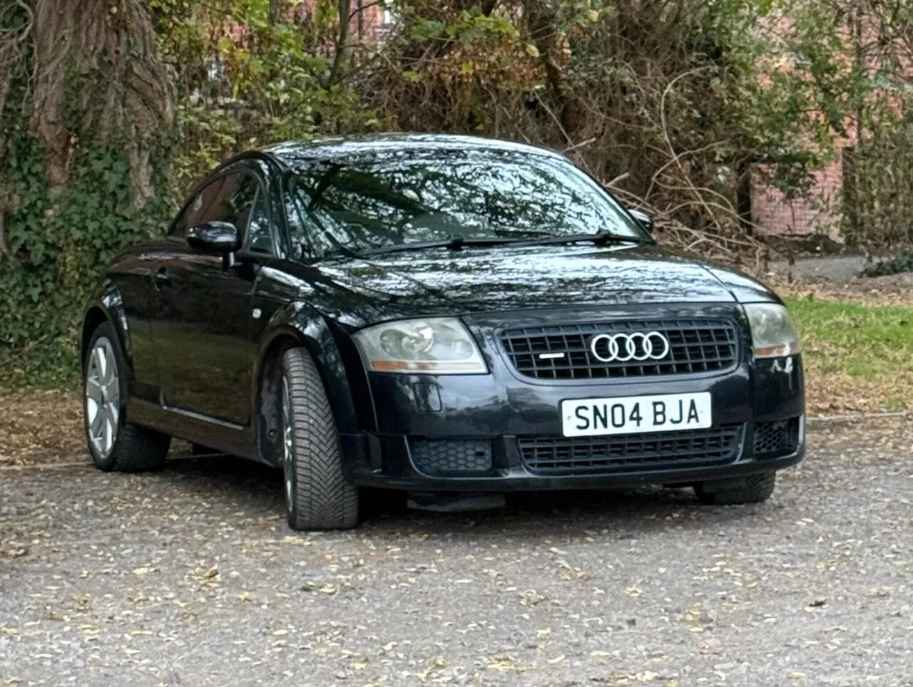 Audi Tt