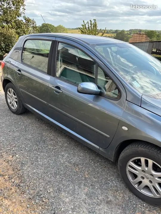 Peugeot 307 2005 photo 2
