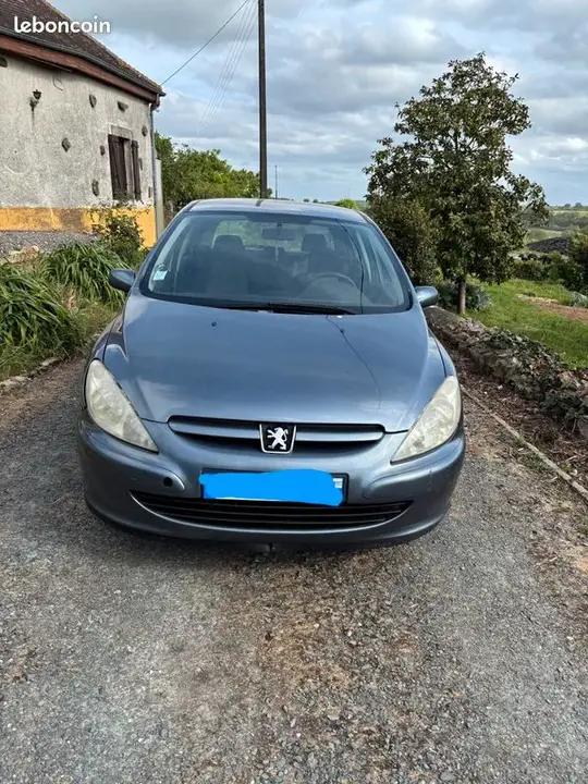 Peugeot 307