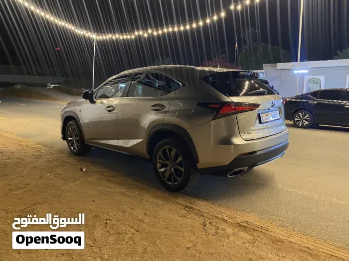 Lexus Nx 300 2019 photo 3