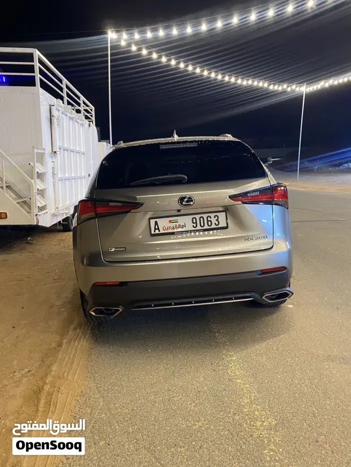 Lexus Nx 300 2019 photo 2