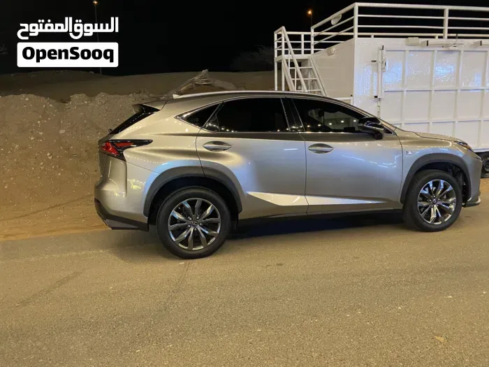 Lexus Nx 300 2019 photo 4