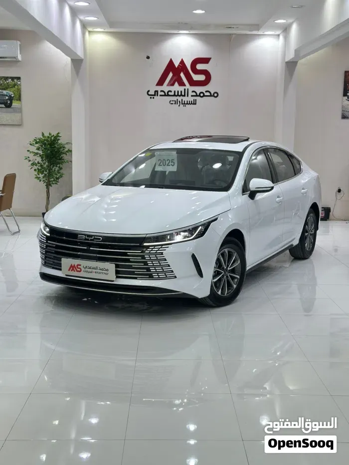 BYD Destroyer 05