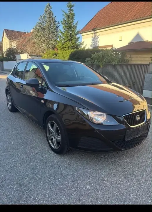 Seat Ibiza 2010 photo 2