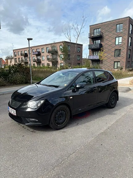 Seat Ibiza 2016 photo 3