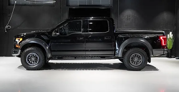 Ford F-150 2019 photo 3