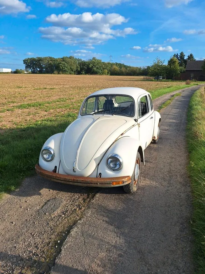 Volkswagen Käfer