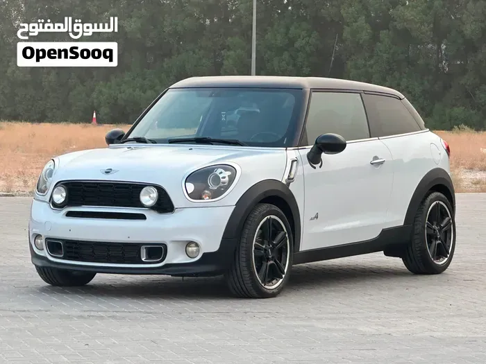 Mini Paceman 2013 photo 4